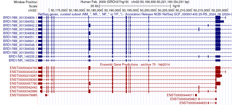 gene isoform structure of BRD1