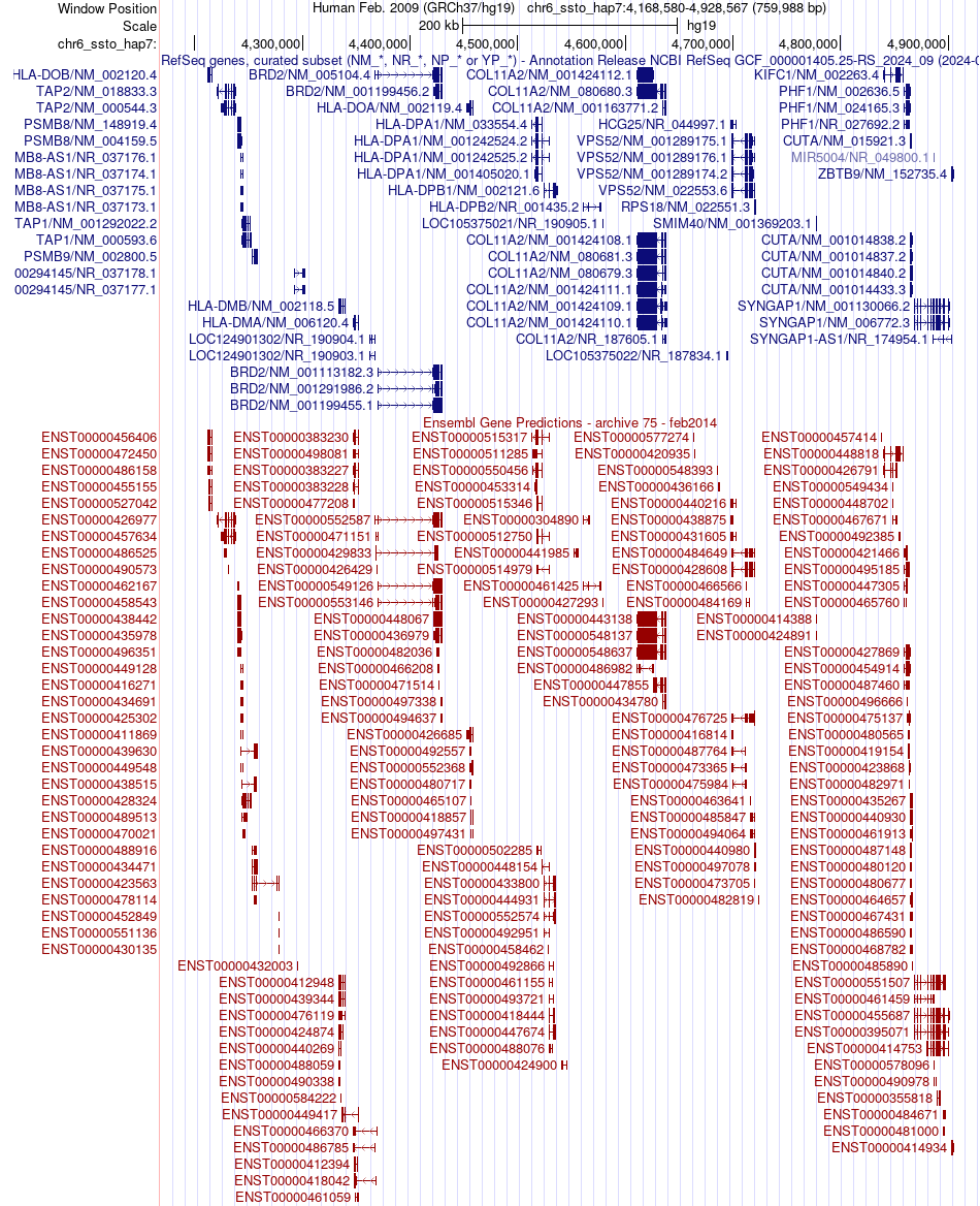gene isoform structure of BRD2