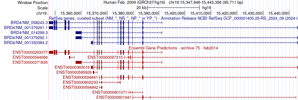 gene isoform structure of BRD4