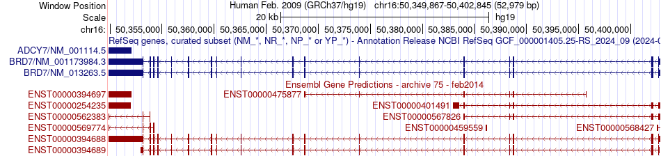 gene isoform structure of BRD7
