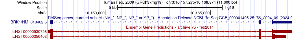 gene isoform structure of BRK1