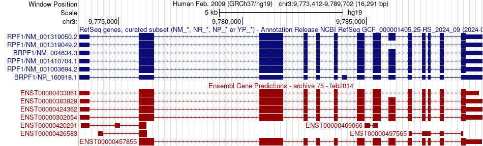 gene isoform structure of BRPF1
