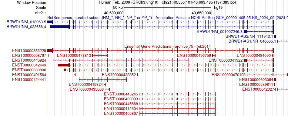 gene isoform structure of BRWD1
