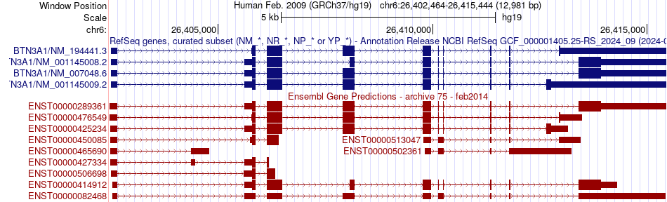 gene isoform structure of BTN3A1