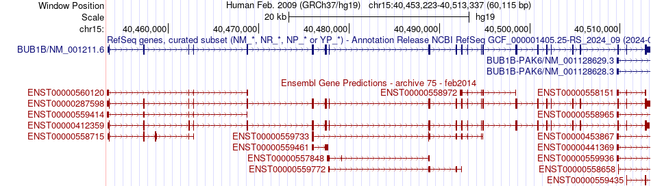 gene isoform structure of BUB1B