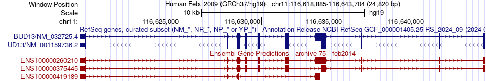 gene isoform structure of BUD13