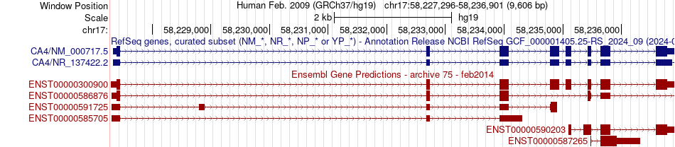 gene isoform structure of CA4