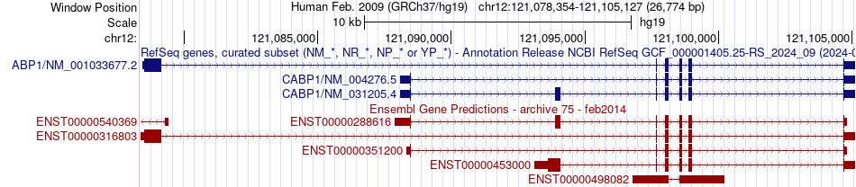 gene isoform structure of CABP1