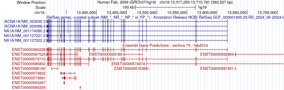 gene isoform structure of CACNA1A