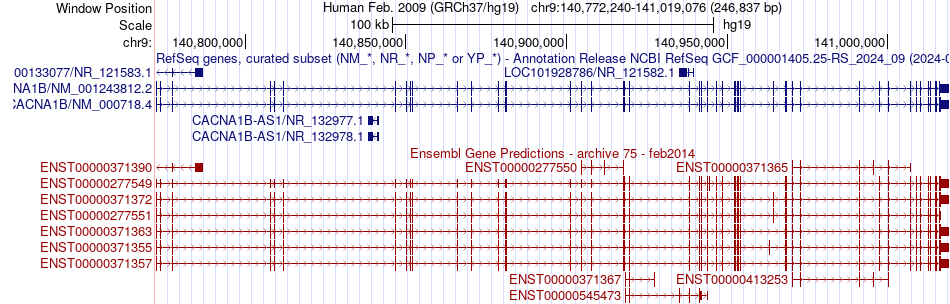 gene isoform structure of CACNA1B