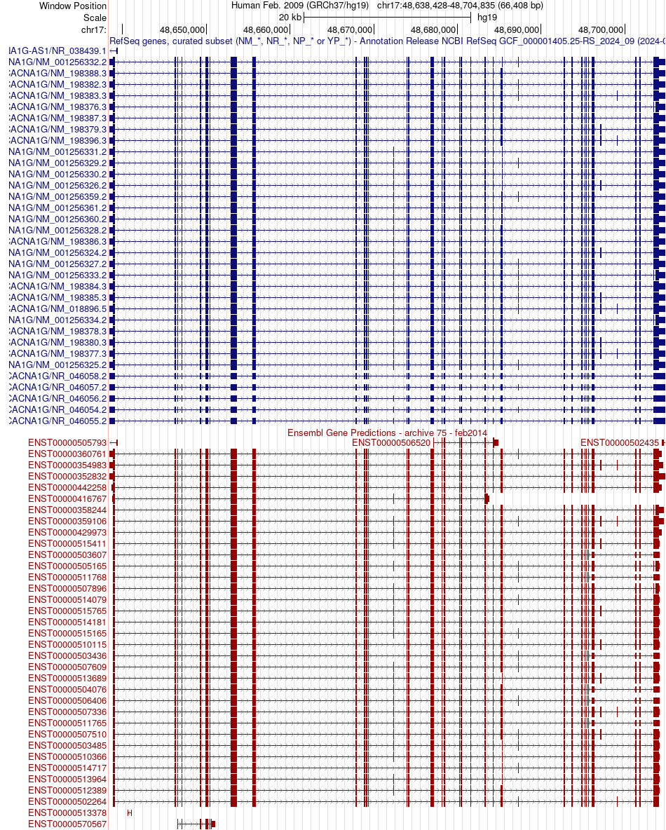 gene isoform structure of CACNA1G
