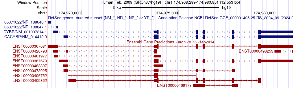 gene isoform structure of CACYBP