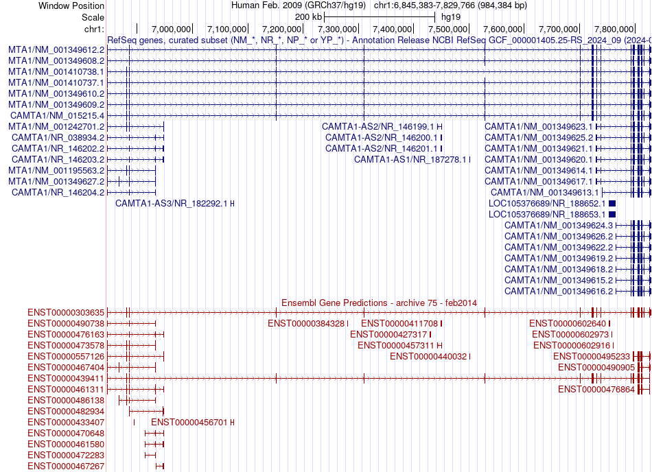 gene isoform structure of CAMTA1
