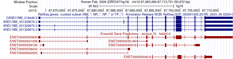 gene isoform structure of CAND1