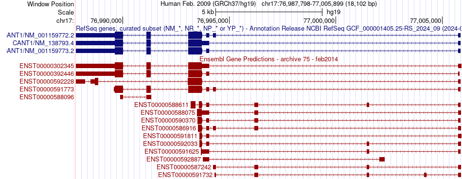 gene isoform structure of CANT1