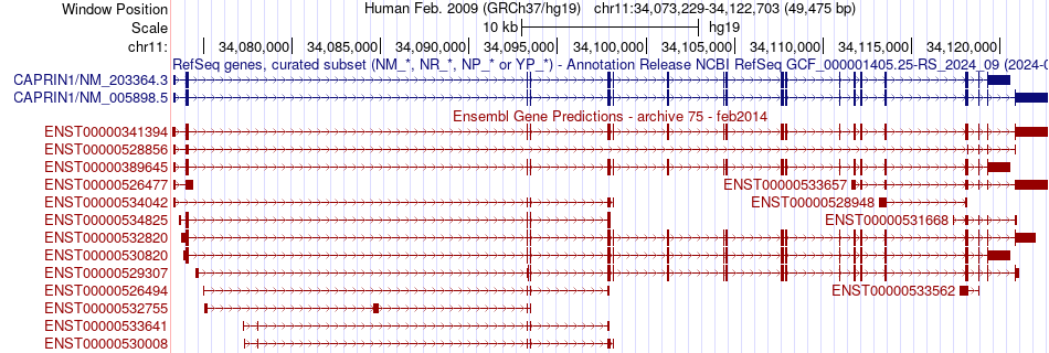 gene isoform structure of CAPRIN1