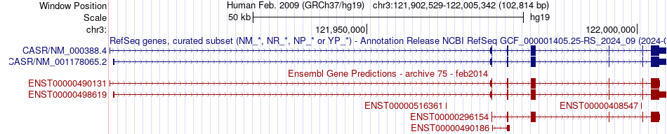 gene isoform structure of CASR