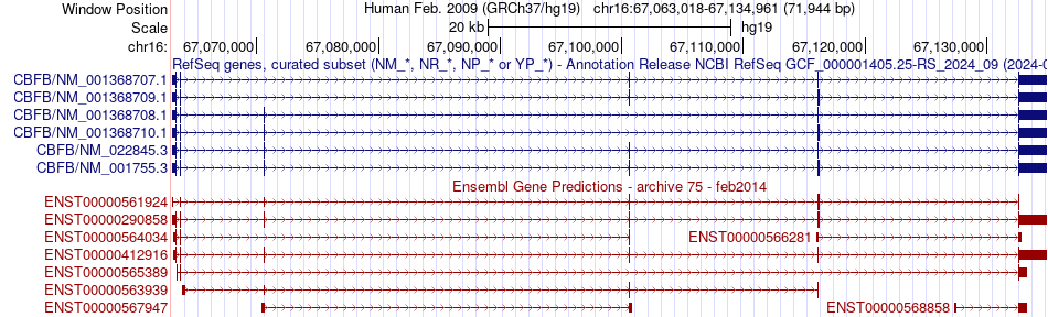 gene isoform structure of CBFB