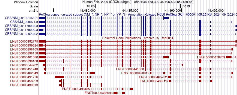 gene isoform structure of CBS