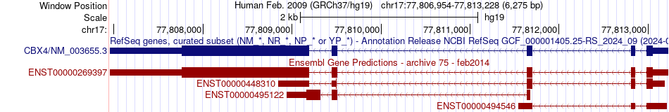 gene isoform structure of CBX4