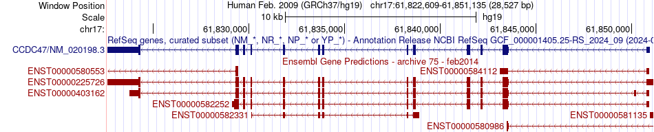 gene isoform structure of CCDC47
