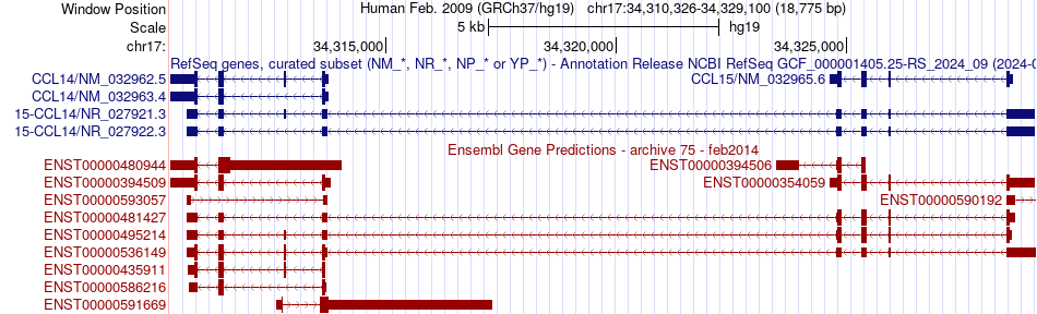 gene isoform structure of CCL14