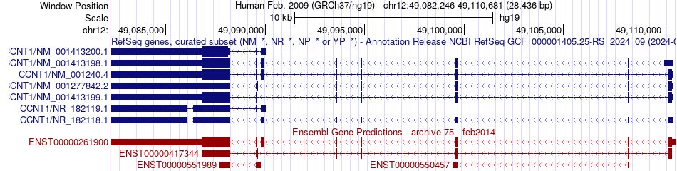 gene isoform structure of CCNT1