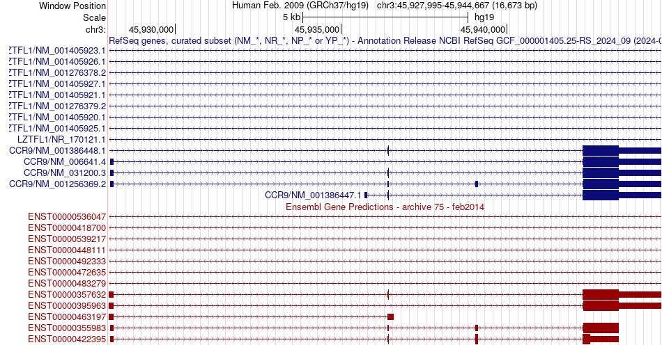 gene isoform structure of CCR9