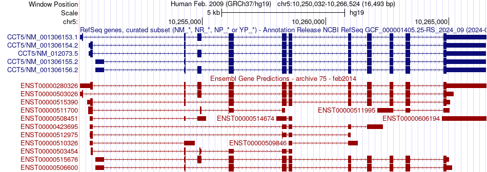 gene isoform structure of CCT5