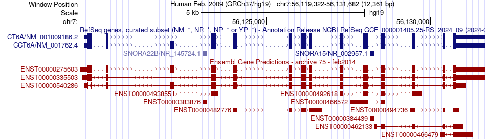 gene isoform structure of CCT6A