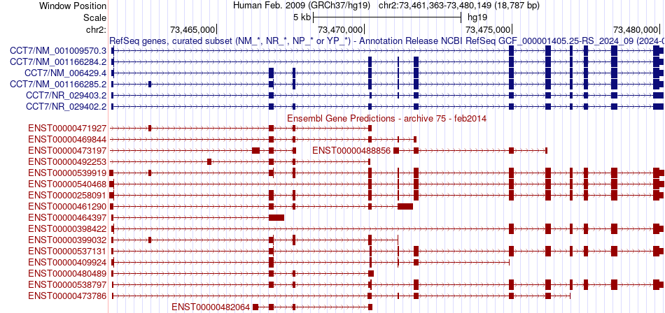 gene isoform structure of CCT7