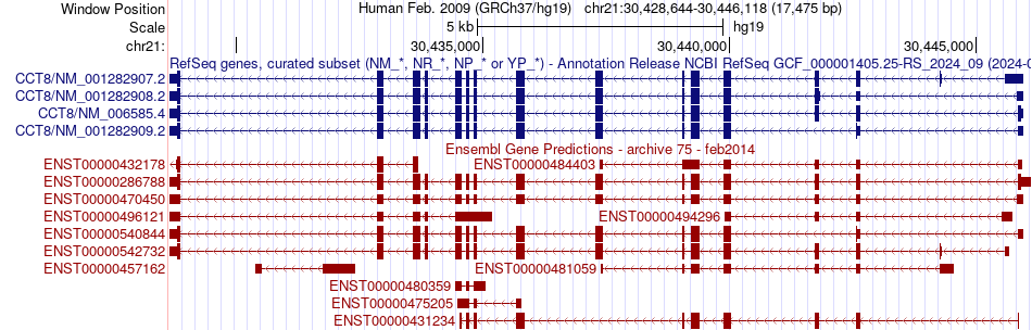 gene isoform structure of CCT8