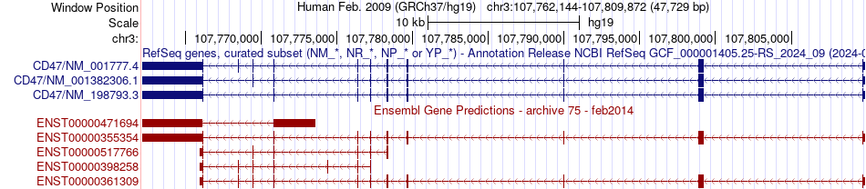 gene isoform structure of CD47