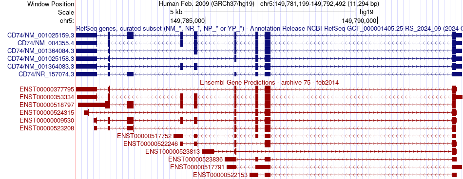 gene isoform structure of CD74