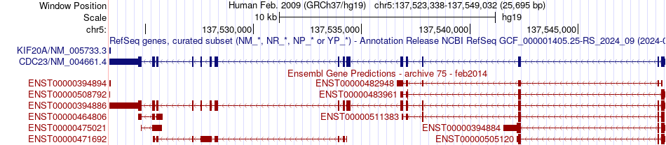 gene isoform structure of CDC23