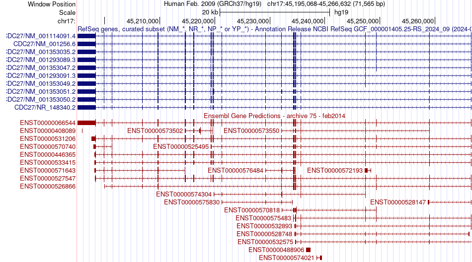 gene isoform structure of CDC27