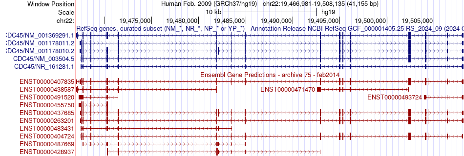 gene isoform structure of CDC45