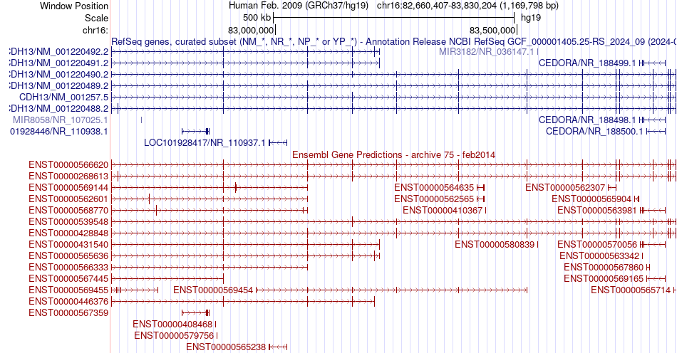 gene isoform structure of CDH13