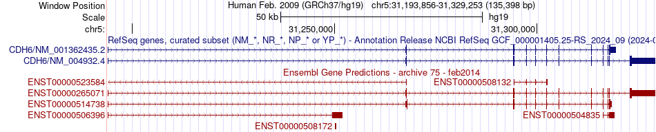 gene isoform structure of CDH6