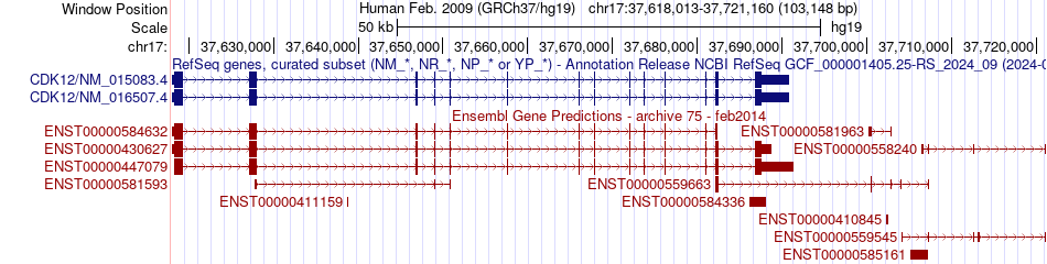 gene isoform structure of CDK12