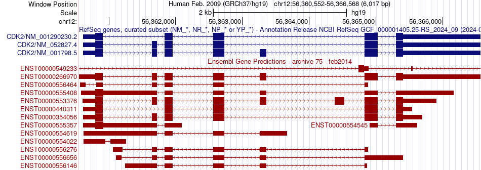 gene isoform structure of CDK2