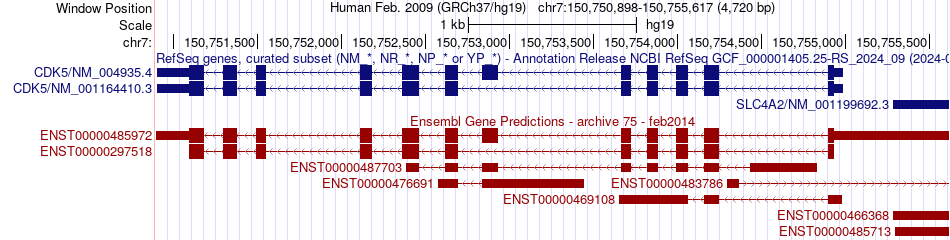 gene isoform structure of CDK5