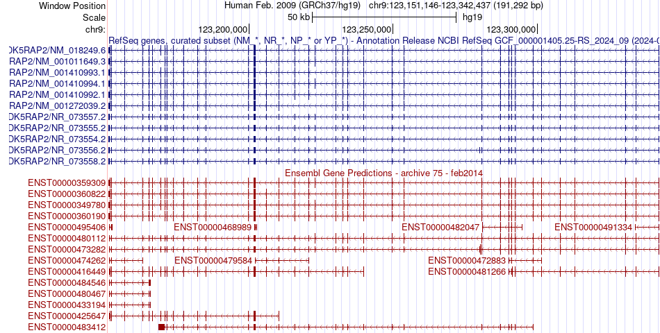 gene isoform structure of CDK5RAP2