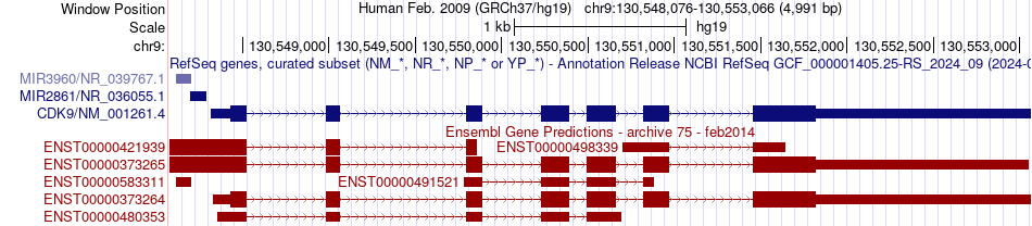 gene isoform structure of CDK9