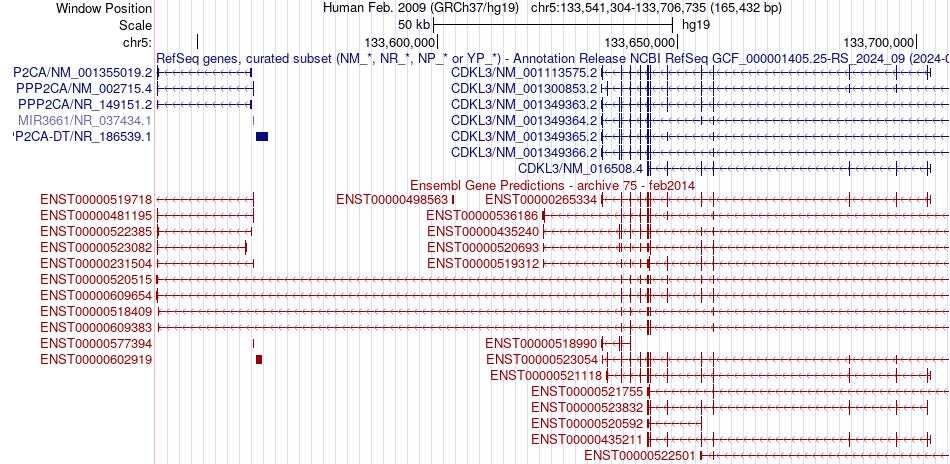 gene isoform structure of CDKL3