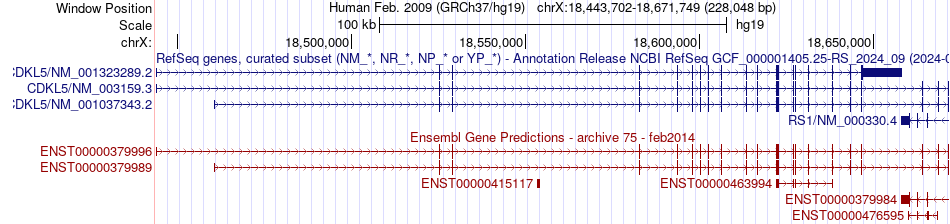 gene isoform structure of CDKL5
