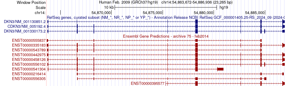 gene isoform structure of CDKN3