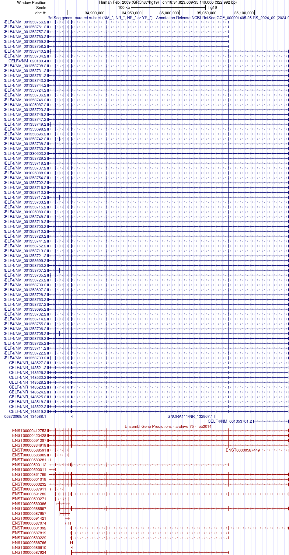 gene isoform structure of CELF4