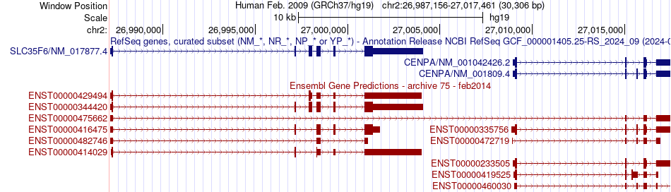 gene isoform structure of CENPA