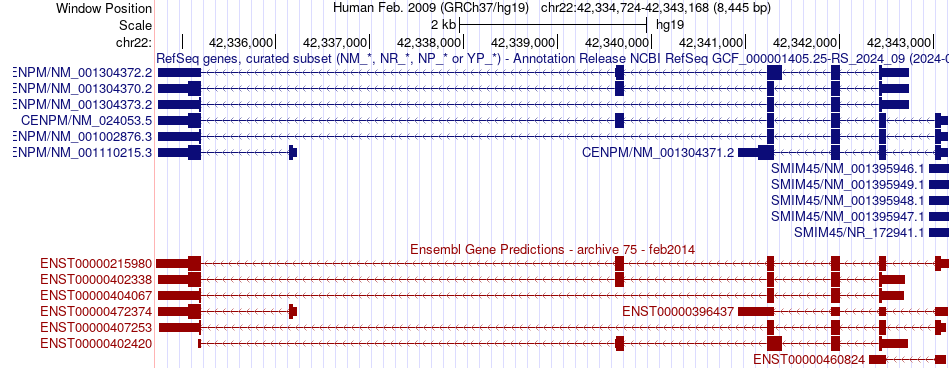 gene isoform structure of CENPM